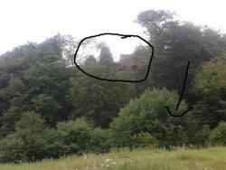 post-27541-0-73773400-1371227427_thumb.j