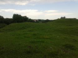 post-27541-0-75941900-1371227247_thumb.j