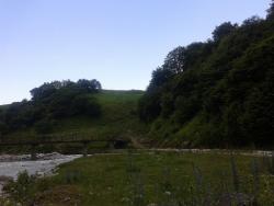 post-27541-0-92843600-1371227103_thumb.j