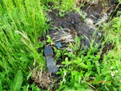 post-27559-0-79133600-1371068014_thumb.j