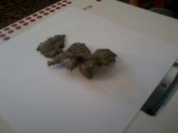 post-27717-0-80824700-1371996228_thumb.j