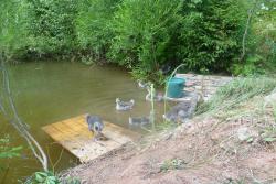 post-2838-0-75448100-1372334251_thumb.jp