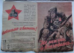 post-3238-0-91780300-1370981153_thumb.jp