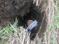 post-4236-0-31929500-1370357671_thumb.jp