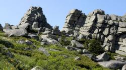 post-4485-0-65684300-1370268006_thumb.jp