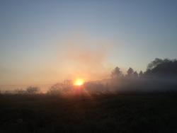 post-4485-0-78485800-1371476202_thumb.jp