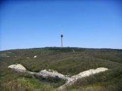 post-4489-0-08306600-1372320282_thumb.jp