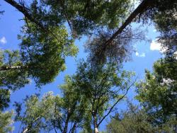 post-4820-0-03898400-1371975835_thumb.jp