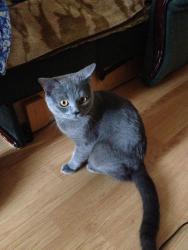 post-4820-0-20077700-1372008853_thumb.jp