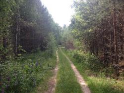 post-4820-0-26974900-1371975873_thumb.jp