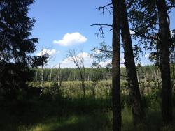 post-4820-0-31360600-1372487966_thumb.jp