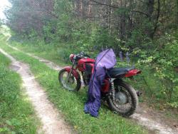 post-4820-0-40749900-1371975918_thumb.jp