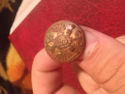 post-4820-0-42002200-1371976240_thumb.jp