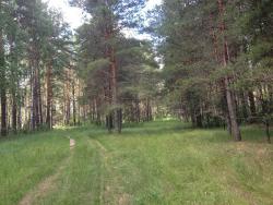 post-4820-0-69094300-1371975788_thumb.jp