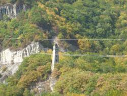 post-4840-0-12039000-1371065844_thumb.jp