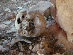 post-4840-0-37537800-1370336657_thumb.jp