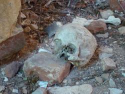 post-4840-0-92705300-1370336623_thumb.jp