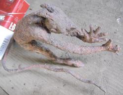 post-5328-0-08593500-1372082946_thumb.jp