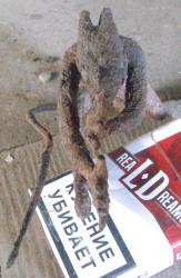 post-5328-0-34499800-1372082951_thumb.jp