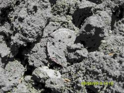 post-6107-0-00809300-1370860304_thumb.jp