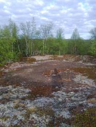 post-6128-0-31611800-1371519758_thumb.jp