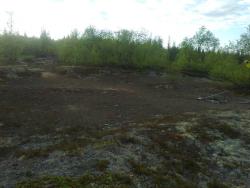 post-6128-0-70260200-1371519724_thumb.jp