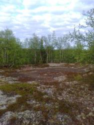 post-6128-0-95613800-1371519675_thumb.jp