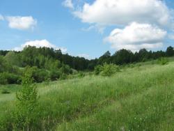 post-7566-0-42434400-1370258228_thumb.jp