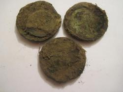 post-7597-0-02695200-1371745273_thumb.jp