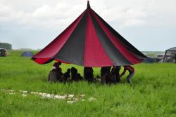 post-7597-0-89208200-1371307114_thumb.jp