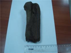 post-8226-0-33596500-1370244428_thumb.jp