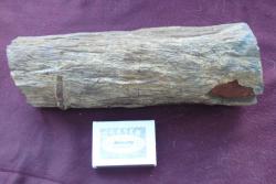 post-8327-0-00218600-1372262894_thumb.jp