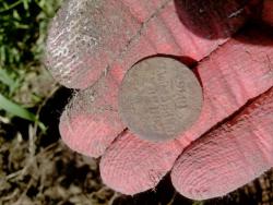 post-8327-0-31768500-1372348151_thumb.jp