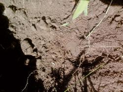 post-8327-0-56598300-1372348108_thumb.jp