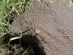 post-8327-0-95663500-1372348311_thumb.jp