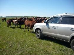 post-9966-0-31231800-1371174293_thumb.jp