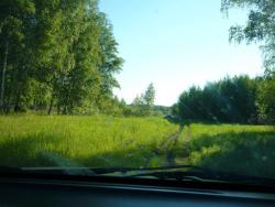 post-9966-0-75889800-1371522725_thumb.jp