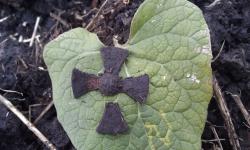 post-11631-0-09728100-1401591611_thumb.j