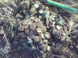 post-11631-0-35424000-1403756877_thumb.j