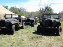 post-11805-0-90477800-1402851127_thumb.j