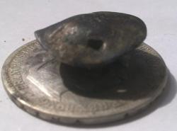 post-12000-0-30713900-1402309805_thumb.j