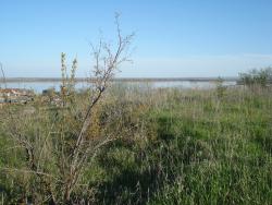 post-12373-0-09801500-1403177255_thumb.j