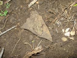 post-12373-0-18186900-1403191218_thumb.j