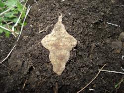 post-12373-0-26565300-1401877437_thumb.j