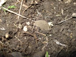 post-12373-0-44469700-1403177574_thumb.j