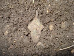 post-12373-0-61588100-1403177502_thumb.j