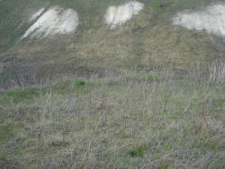 post-12373-0-64228700-1401874714_thumb.j