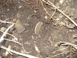 post-12373-0-82118800-1401876829_thumb.j