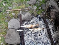 post-19230-0-64891500-1404146287_thumb.j