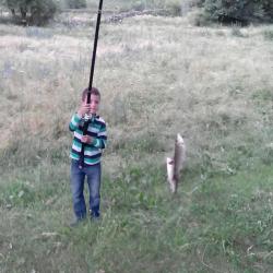 post-19230-0-93666600-1404146212_thumb.j